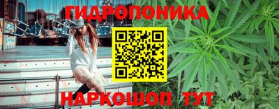 ГАЛЛЮЦИНОГЕННЫЕ ГРИБЫ Пугачёв