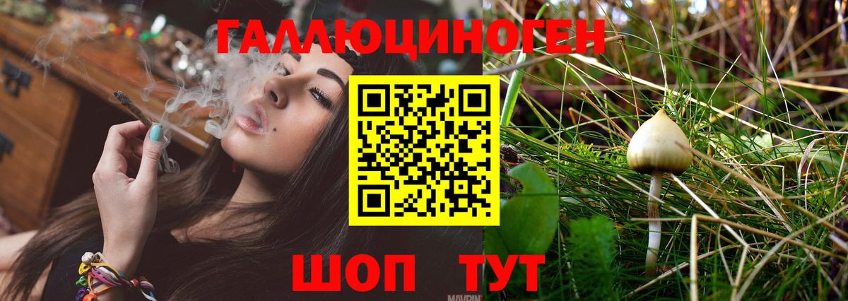 Псилоцибиновые грибы GOLDEN TEACHER  Вход с VPN  даркнет сайт  Белово 